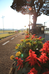 待ち時間
