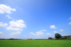 田園と空とフラワ