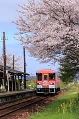 さくらの駅に到着