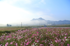 霧が晴れたら