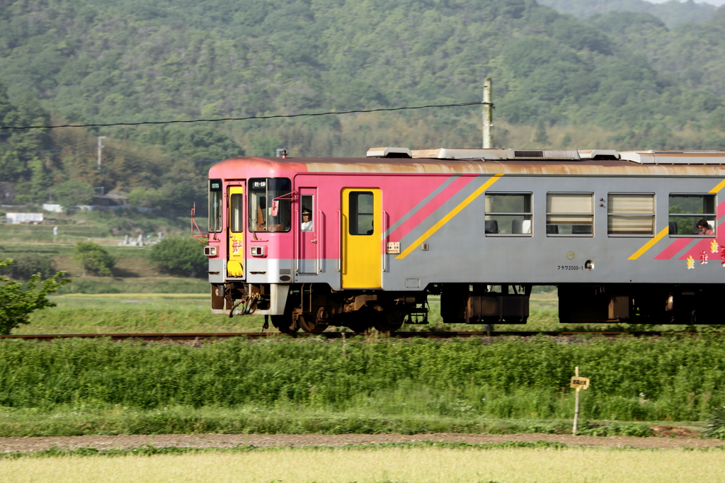 目が合ったよ