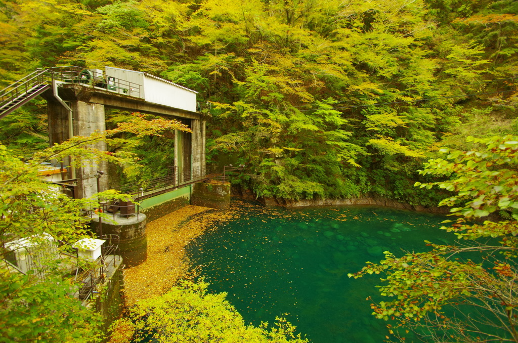 秋のユーシン渓谷