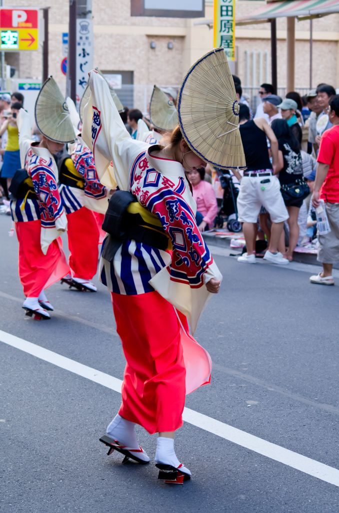 大和 阿波踊り
