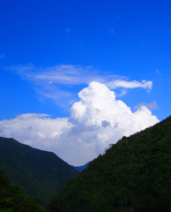 夏雲