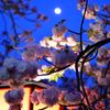 造幣局にて