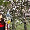 美女に出会った～