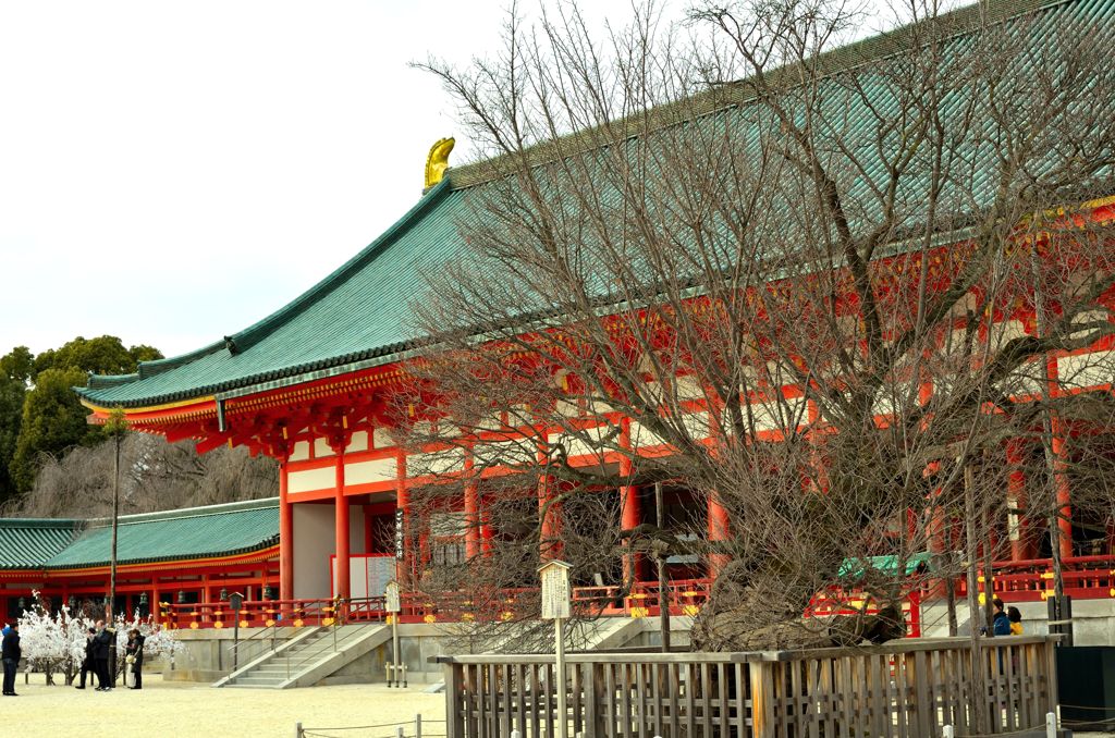 桜　もうすぐ君は主役