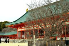 桜　もうすぐ君は主役
