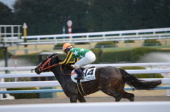 駆け抜けろ