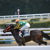 駆け抜けろ