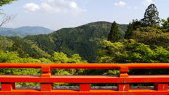 天狗の山