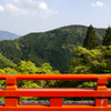 天狗の山