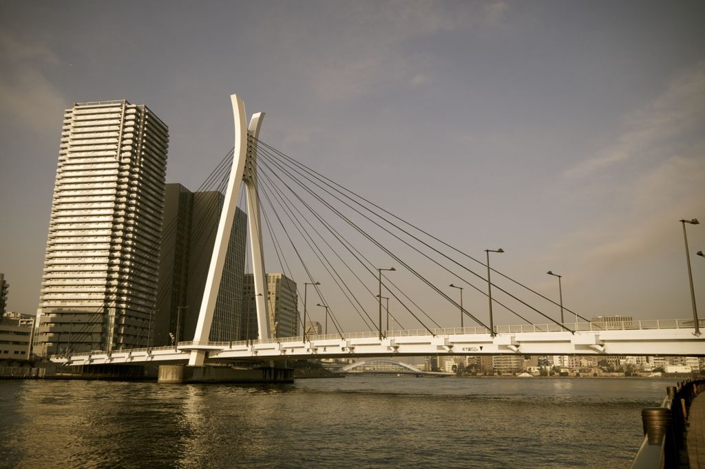 橋