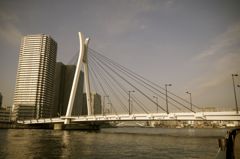 橋
