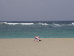 冬の砂浜
