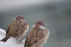 そろそろ行きますか～