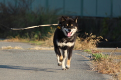 やっほーーーーい！！