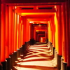 千本鳥居