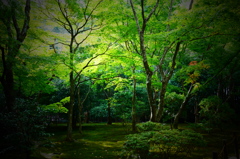 寺庭