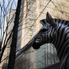 都会の馬