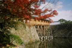 和歌山城　紅葉