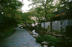 散歩道