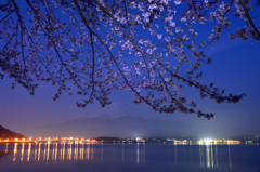 艶桜