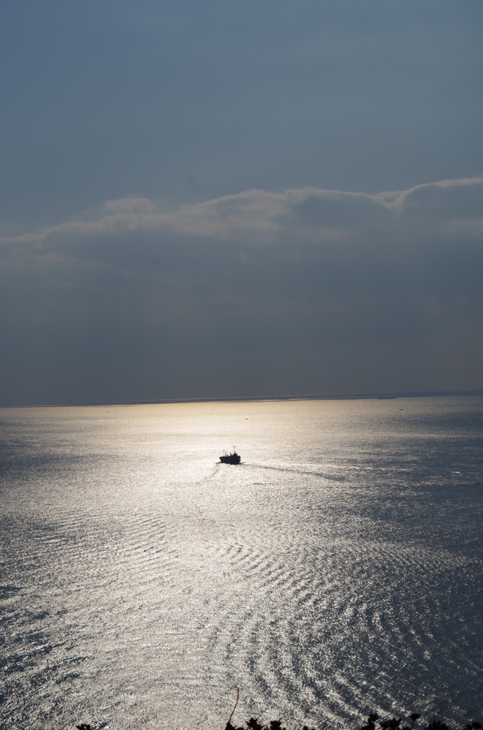 光の海