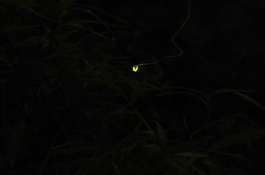 着地成功