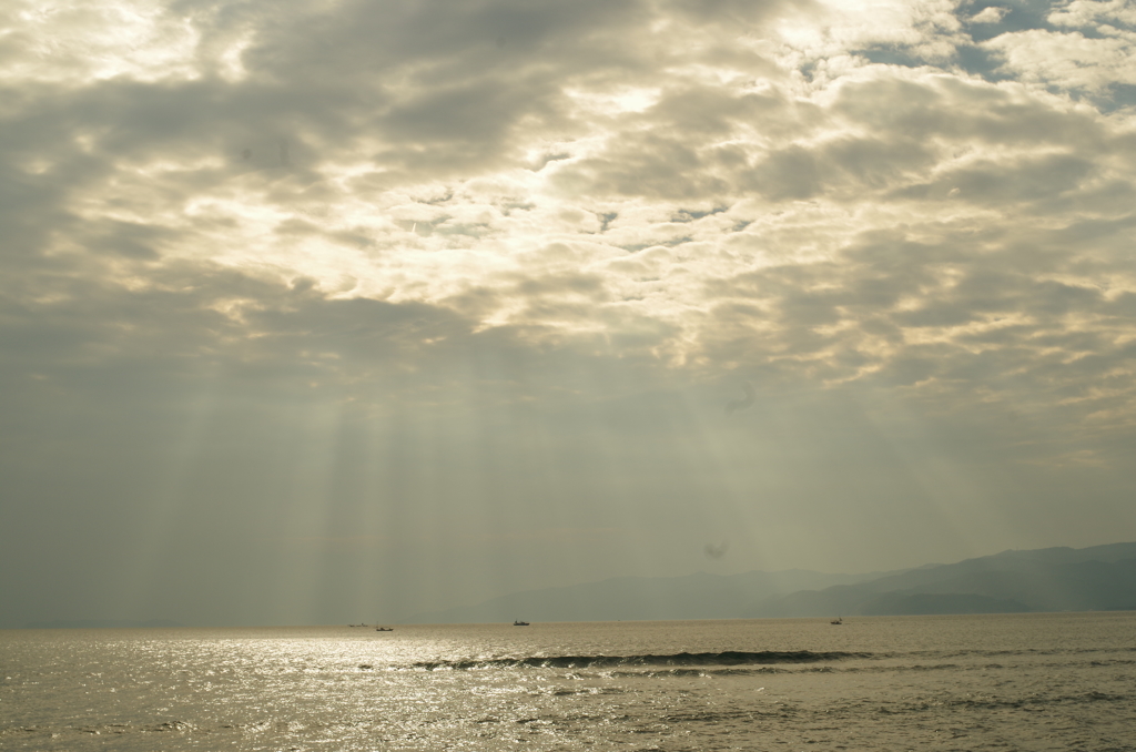 海