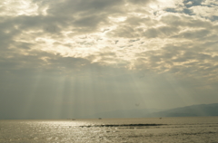 海