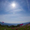鷲ヶ峰コスモスパーク