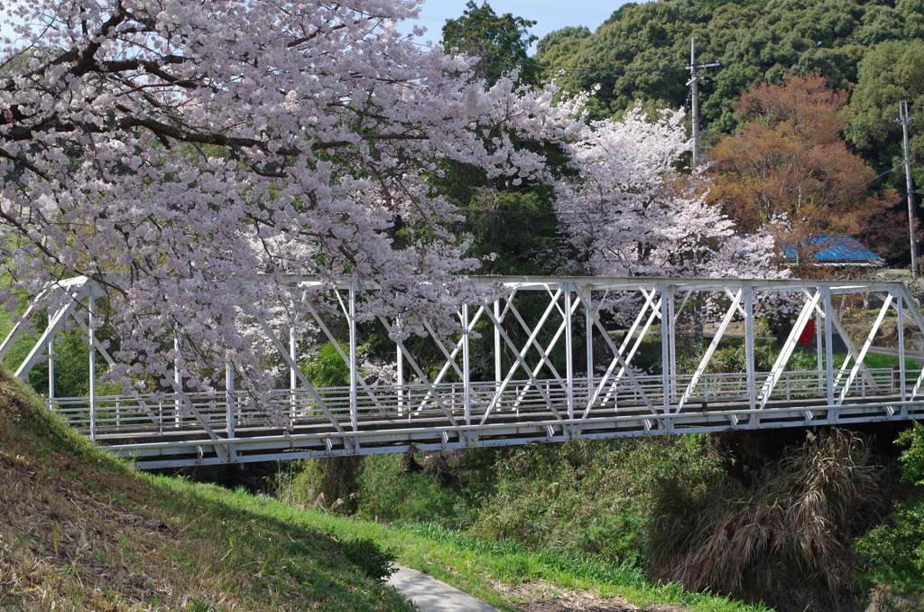 桜のある風景