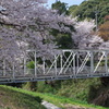 桜のある風景