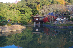 根来寺の水鏡