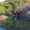 根来寺の水鏡