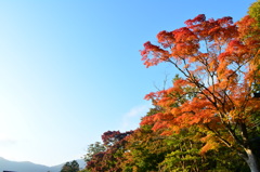 箱根ガラスの森