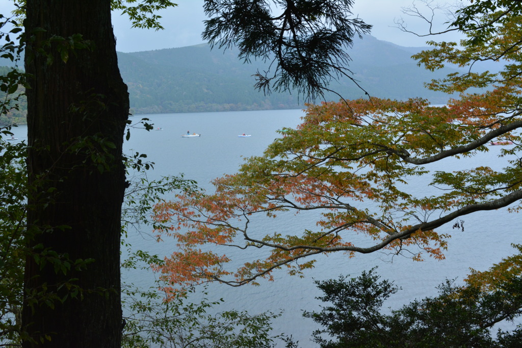 芦ノ湖と紅葉