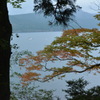芦ノ湖と紅葉