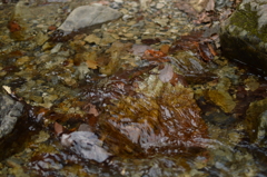 渓流