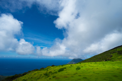 八丈島-ふれあい牧場