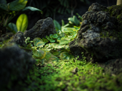 Such as diorama Ⅰ