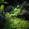 Such as diorama Ⅰ