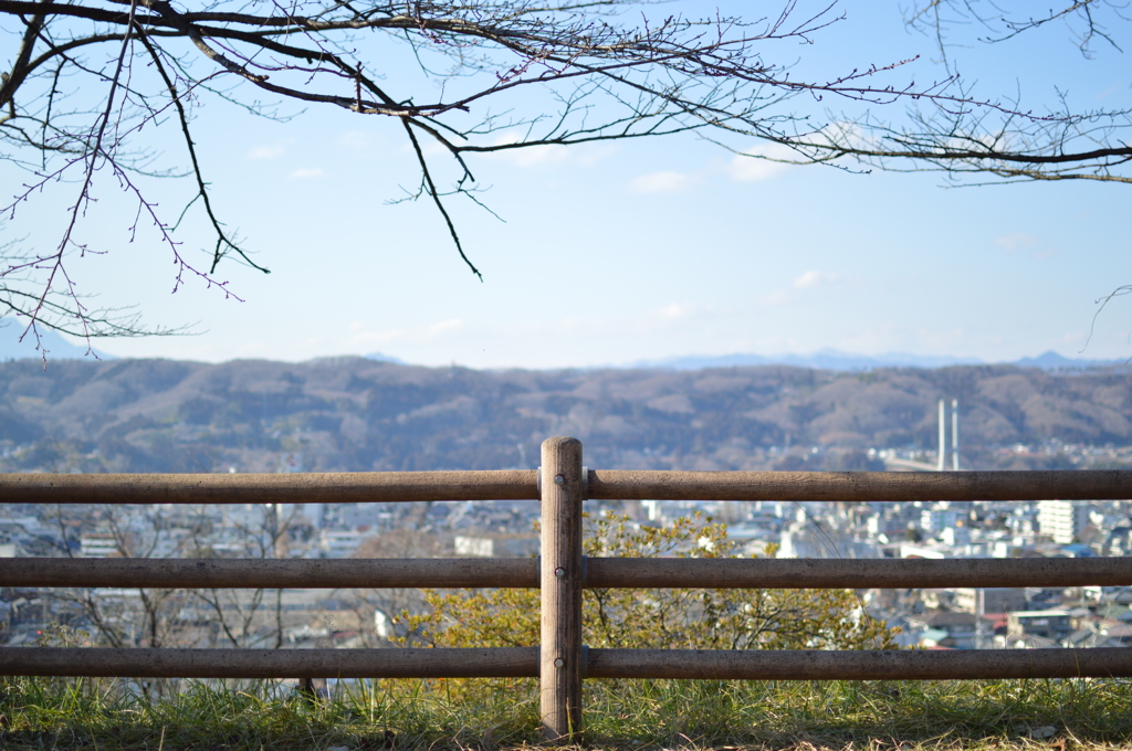 柵・木・秩父