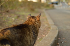 視線の先には
