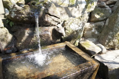 春日大社の湧き水