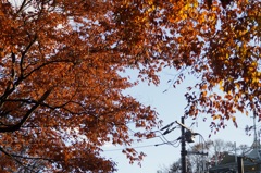 高尾山行　２５