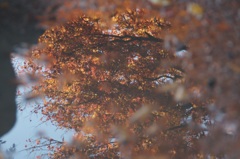 高尾山行　２３