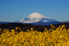 吾妻山公園