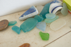 陸の記憶　海の記憶